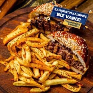 Hamburger Baharatı